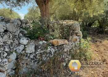 Foto 77 - Rustico contrada Tradituso
 
snc, Noto - foto 77