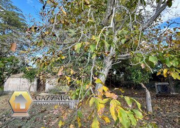 Foto 15 - Terreno agricolo C.da Sabatù
 
sn, Canicattini Bagni - foto 15