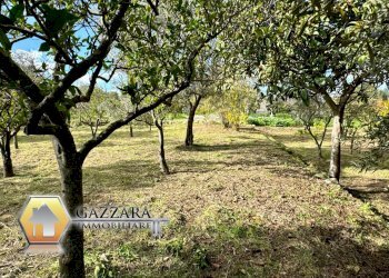 Foto 26 - Terreno agricolo C.da Sabatù
 
sn, Canicattini Bagni - foto 26