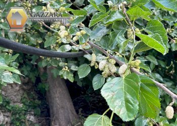 Foto 63 - Terreno edificabile Canicattini Bagni - foto 63