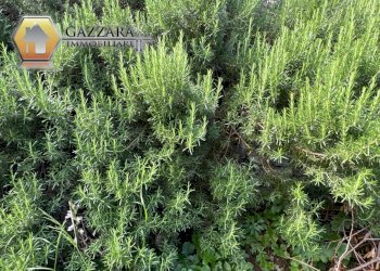 Foto 71 - Terreno edificabile Canicattini Bagni - foto 71