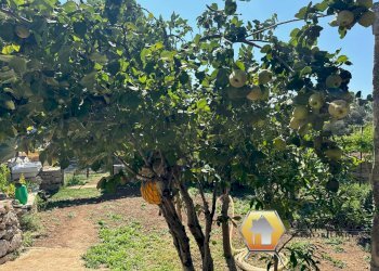 Foto 51 - Rustico contrada Tradituso
 
snc, Canicattini Bagni - foto 51