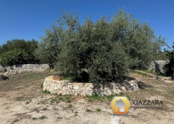 Foto 52 - Rustico contrada Tradituso
 
snc, Canicattini Bagni - foto 52