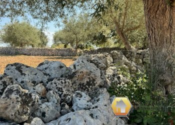 Foto 82 - Rustico contrada Tradituso
 
snc, Canicattini Bagni - foto 82