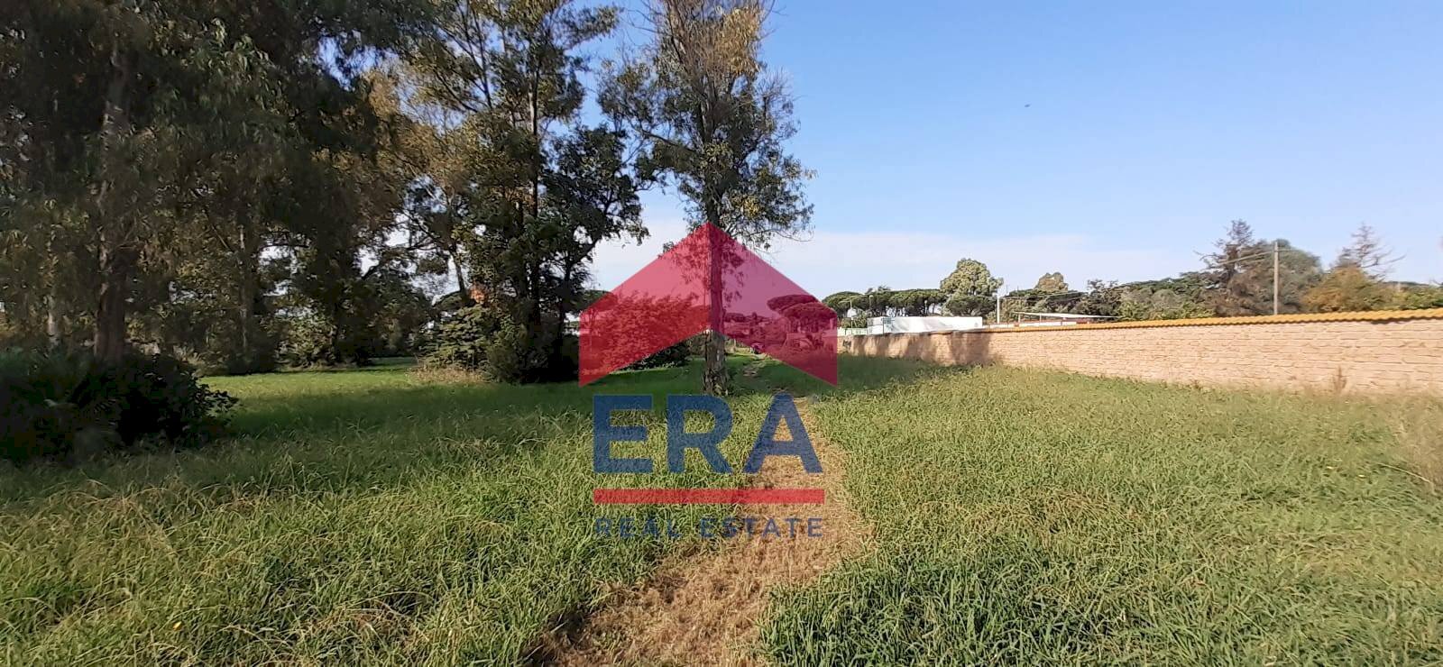 Terreno - Terreno agricolo Via Alberto Franchetti
 
5, Roma - foto 2