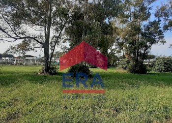 Terreno - Terreno agricolo Via Alberto Franchetti
 
5, Roma - foto 6