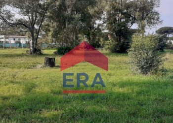 Terreno - Terreno agricolo Via Alberto Franchetti
 
5, Roma - foto 8