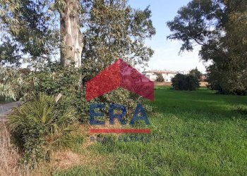 Terreno - Terreno agricolo Via Alberto Franchetti
 
5, Roma - foto 10