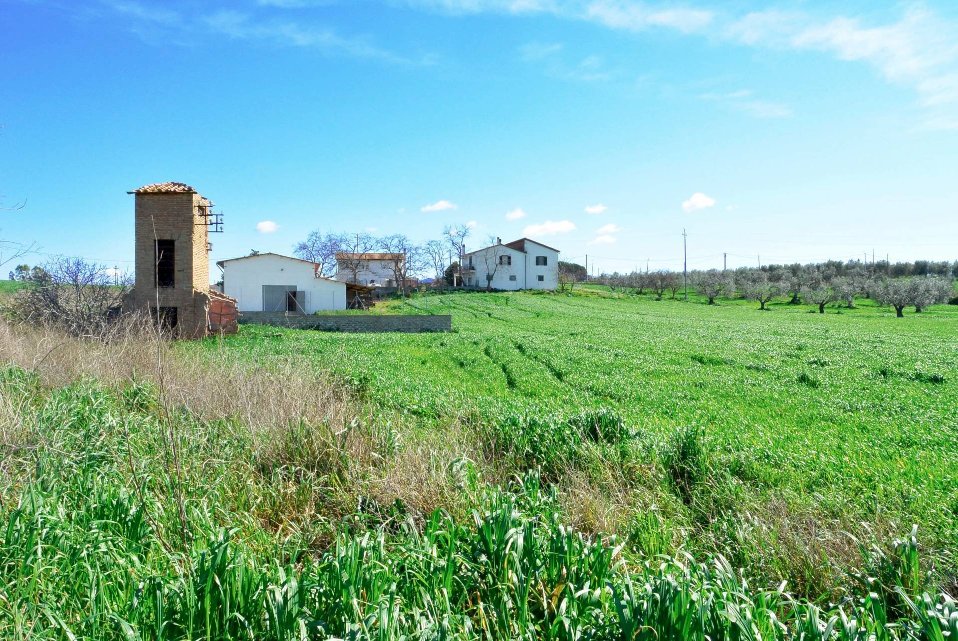 Foto 2 - Rustico Loc. Pantano di Sotto
 
snc, Tarquinia - foto 2