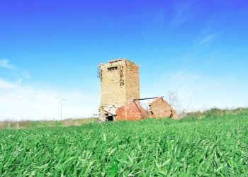 Foto 5 - Rustico Loc. Pantano di Sotto
 
snc, Tarquinia - foto 5