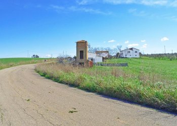 Foto 6 - Rustico Loc. Pantano di Sotto
 
snc, Tarquinia - foto 6