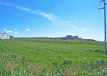 Foto 8 - Rustico Loc. Pantano di Sotto
 
snc, Tarquinia - foto 8