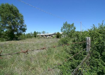 Foto 2 - Capannone Strada 151 Ortana
snc, Soriano nel Cimino - foto 2