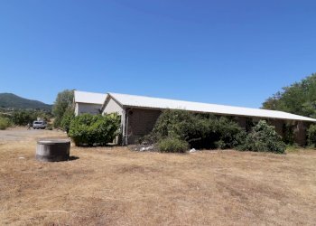 Foto 16 - Capannone Strada 151 Ortana
snc, Soriano nel Cimino - foto 15