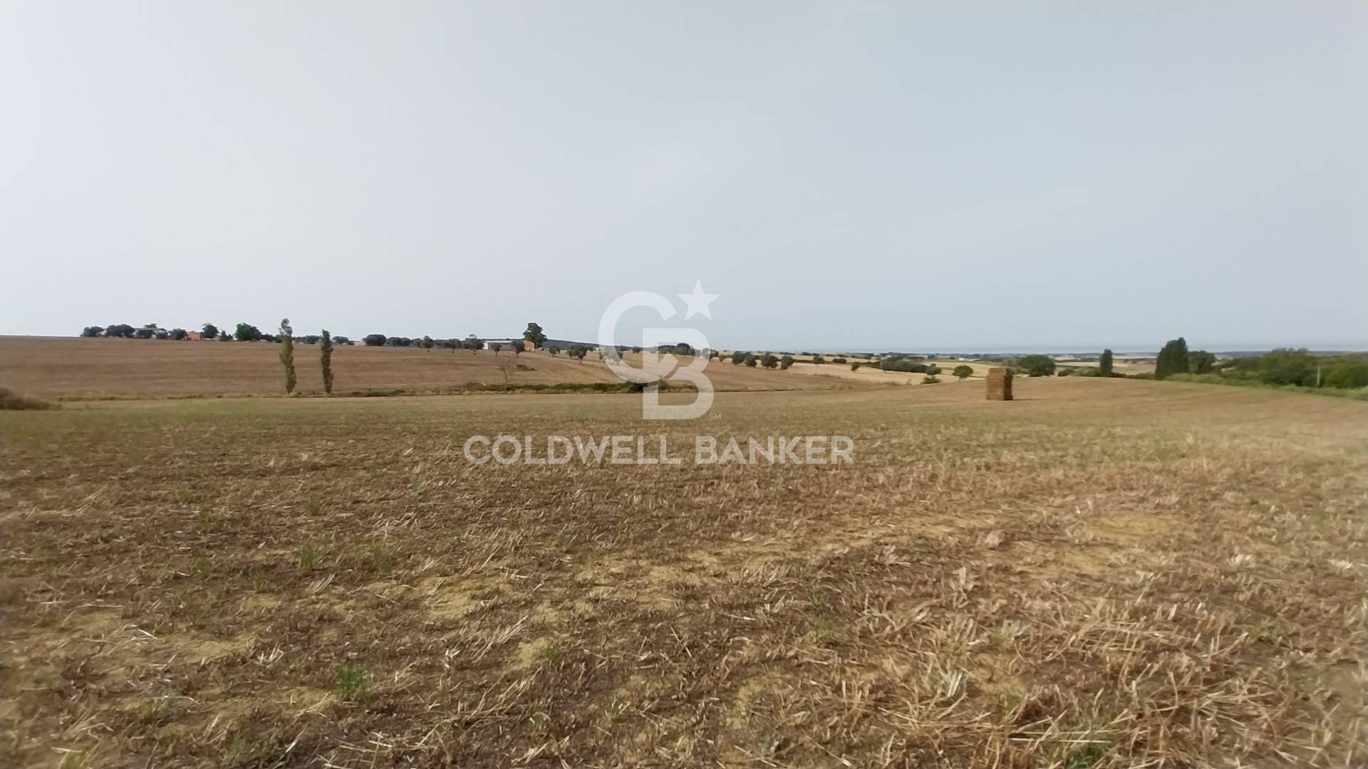 Foto 3 - Rustico Località Fontanil della Torre
 
snc, Tarquinia - foto 3