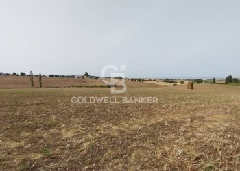 Foto 3 - Rustico Località Fontanil della Torre
 
snc, Tarquinia - foto 3