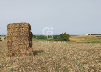 Foto 4 - Rustico Località Fontanil della Torre
 
snc, Tarquinia - foto 4