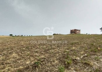 Foto 5 - Rustico Località Fontanil della Torre
 
snc, Tarquinia - foto 5