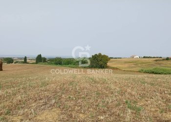 Foto 7 - Rustico Località Fontanil della Torre
 
snc, Tarquinia - foto 7