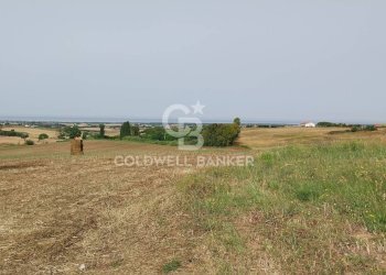 Foto 11 - Rustico Località Fontanil della Torre
 
snc, Tarquinia - foto 11