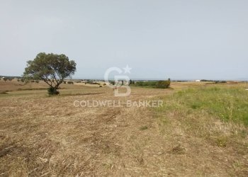 Foto 12 - Rustico Località Fontanil della Torre
 
snc, Tarquinia - foto 12