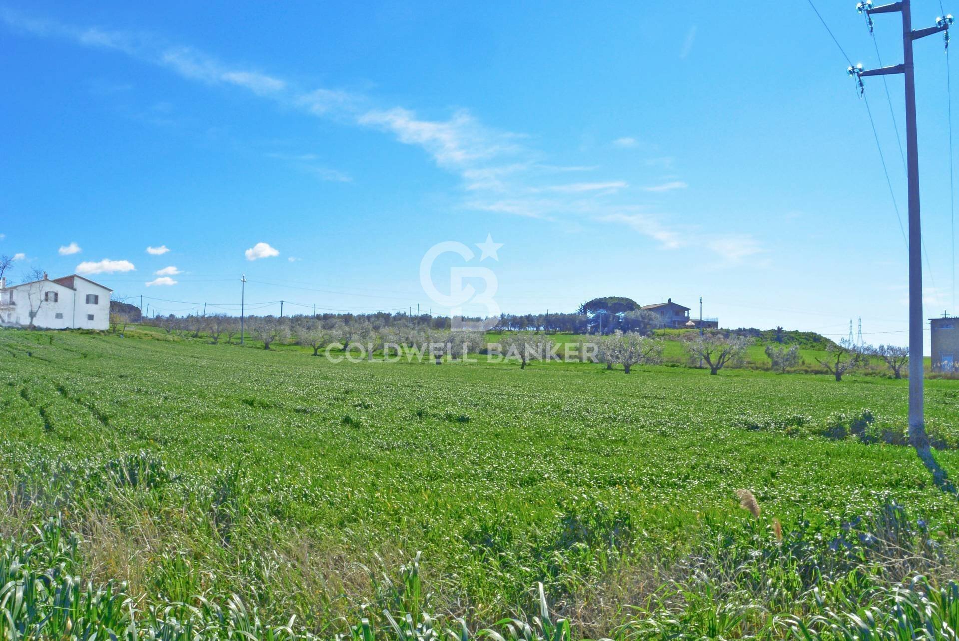 Foto 1 - Terreno agricolo Località Pantano di Sotto
 
snc, Tarquinia - foto 1
