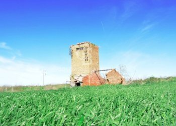 Foto 2 - Terreno agricolo Località Pantano di Sotto
 
snc, Tarquinia - foto 2