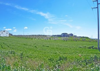 Foto 1 - Terreno agricolo Località Pantano di Sotto
 
snc, Tarquinia - foto 1