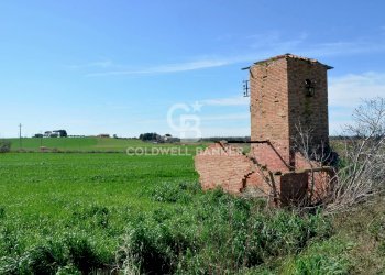 Foto 5 - Terreno agricolo Località Pantano di Sotto
 
snc, Tarquinia - foto 5