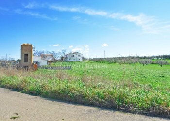 Foto 6 - Terreno agricolo Località Pantano di Sotto
 
snc, Tarquinia - foto 6