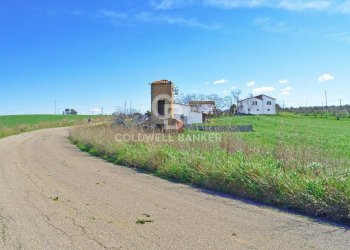 Foto 7 - Terreno agricolo Località Pantano di Sotto
 
snc, Tarquinia - foto 7