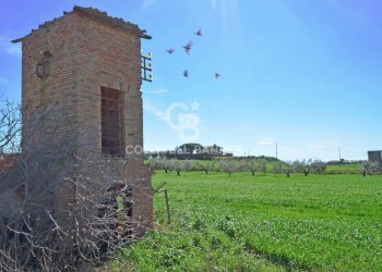 Foto 8 - Terreno agricolo Località Pantano di Sotto
 
snc, Tarquinia - foto 8