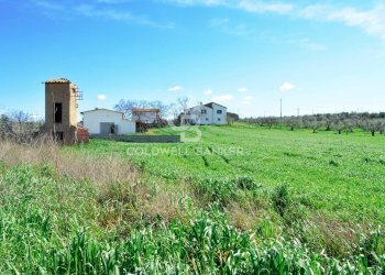 Foto 10 - Terreno agricolo Località Pantano di Sotto
 
snc, Tarquinia - foto 10