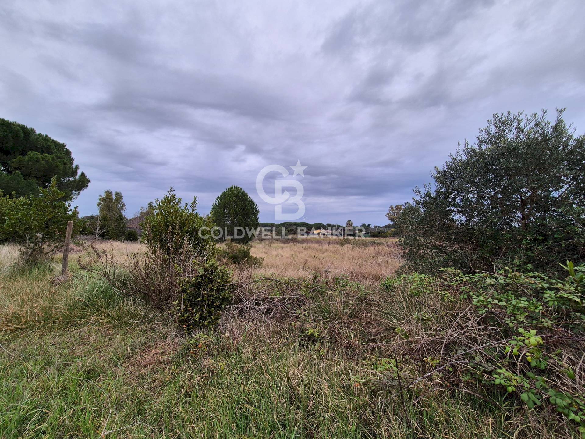 Foto 2 - Terreno agricolo Località San Giorgio
 
Snc, Tarquinia - foto 2