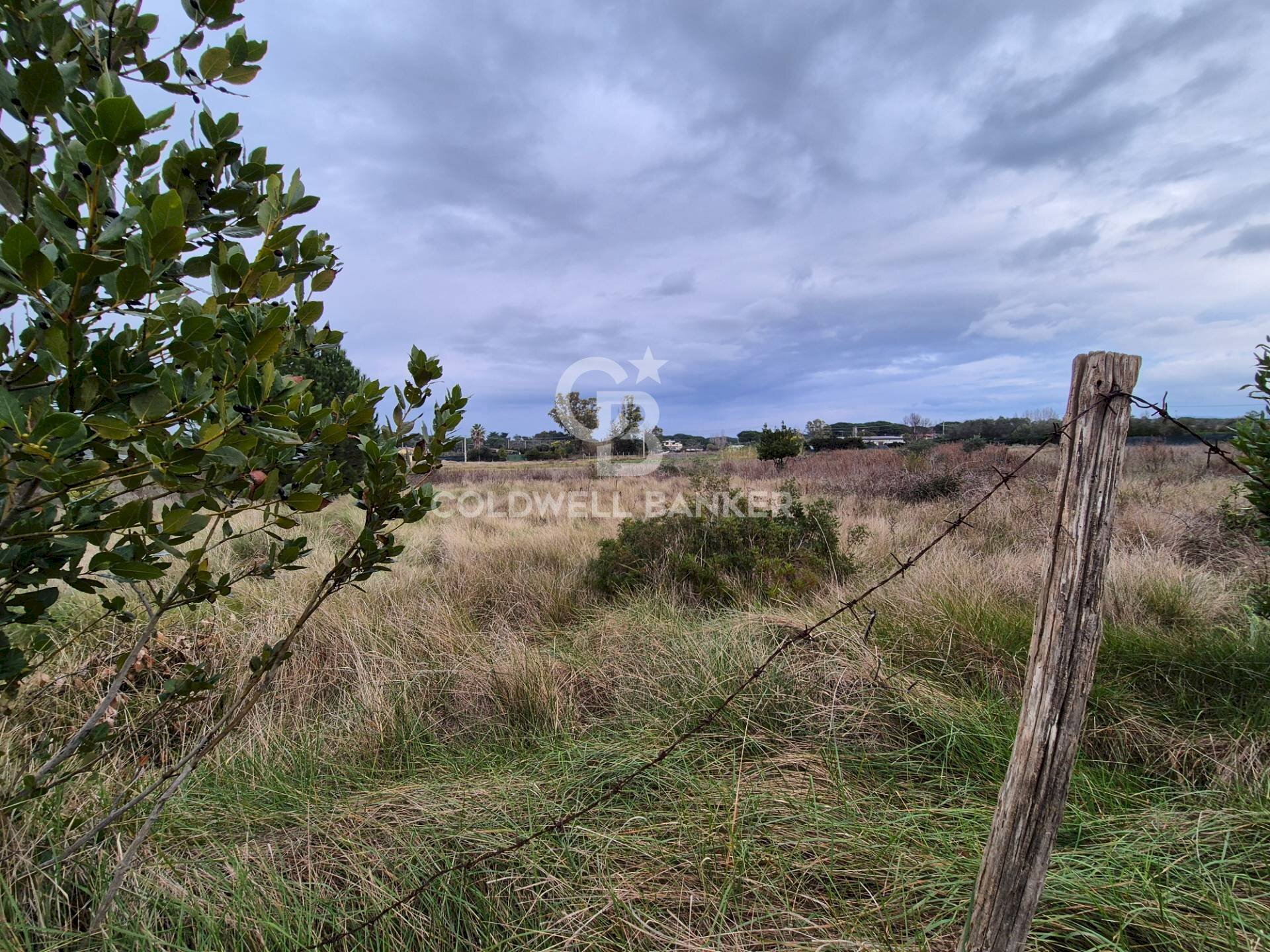 Foto 3 - Terreno agricolo Località San Giorgio
 
Snc, Tarquinia - foto 3
