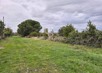 Foto 1 - Terreno agricolo Località San Giorgio
 
Snc, Tarquinia - foto 1