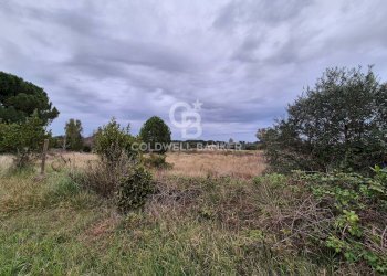 Foto 2 - Terreno agricolo Località San Giorgio
 
Snc, Tarquinia - foto 2