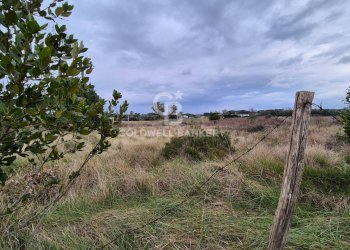 Foto 3 - Terreno agricolo Località San Giorgio
 
Snc, Tarquinia - foto 3