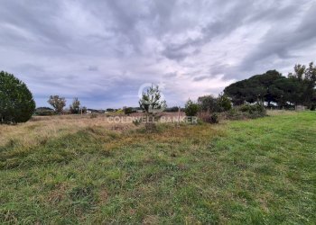 Foto 4 - Terreno agricolo Località San Giorgio
 
Snc, Tarquinia - foto 4