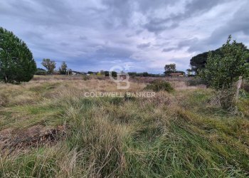 Foto 5 - Terreno agricolo Località San Giorgio
 
Snc, Tarquinia - foto 5