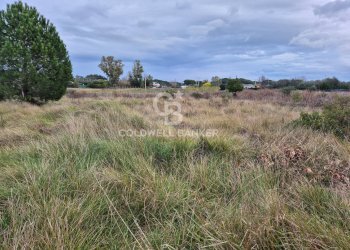 Foto 6 - Terreno agricolo Località San Giorgio
 
Snc, Tarquinia - foto 6