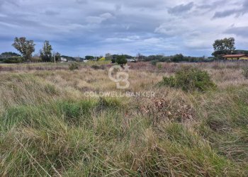 Foto 7 - Terreno agricolo Località San Giorgio
 
Snc, Tarquinia - foto 7