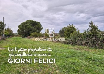 Foto 1 - Agricultural land Località San Giorgio
Snc, Tarquinia - photo 1