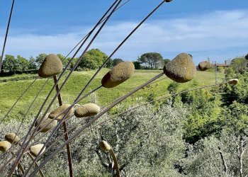 Foto 5 - Rustico Loc III san giovanni, Manciano - foto 5