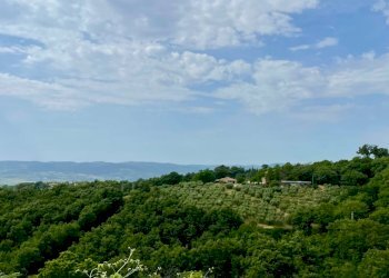 Foto 22 - Rustico Loc III san giovanni, Manciano - foto 22