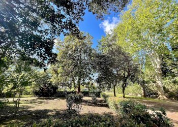 Foto 29 - Appartamento Corso italia, Orbetello - foto 29