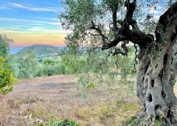 Foto 16 - Rustico via dei molini, Monte Argentario - foto 16