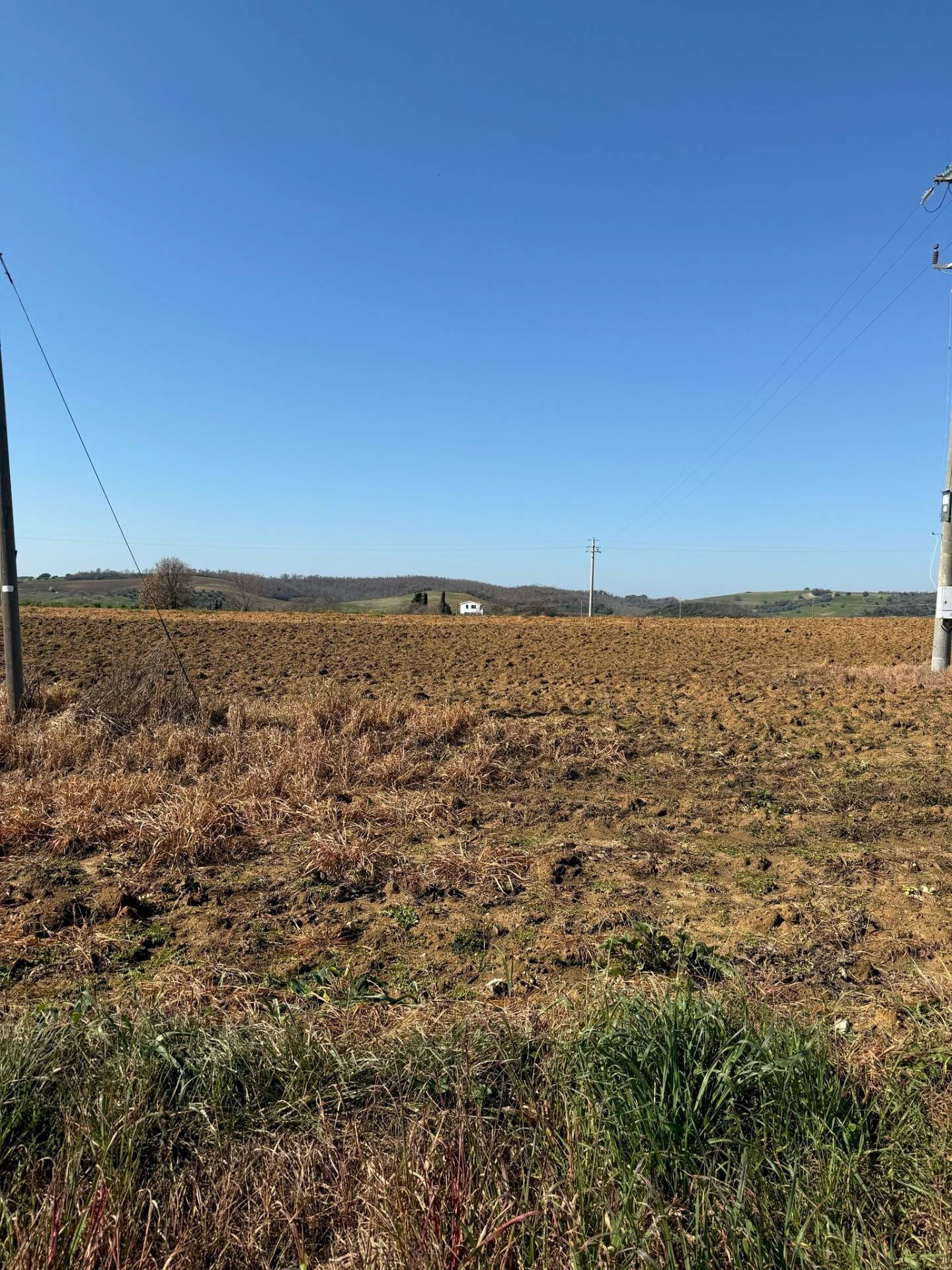 Foto 3 - Casa indipendente Strada Sant'Andrea, Magliano in Toscana - foto 3