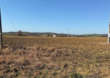 Foto 3 - Casa indipendente Strada Sant'Andrea, Magliano in Toscana - foto 3