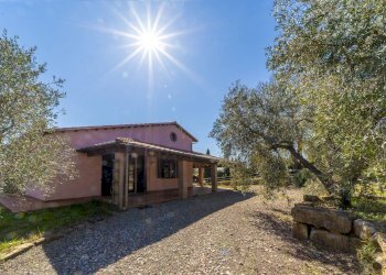 Foto 5 - Rustico Colle di Lupo, Magliano in Toscana - foto 5